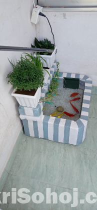 Aquarium